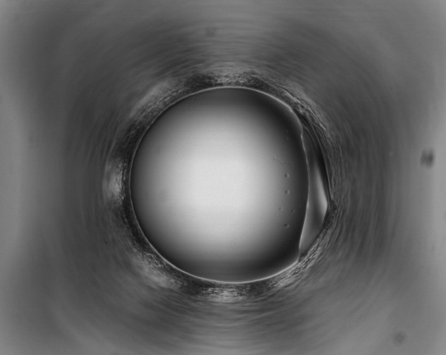 X0000101170074200806271045