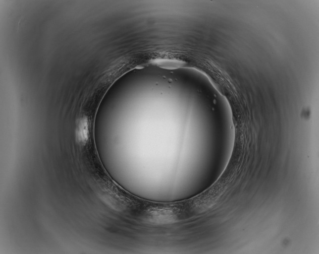 X0000101170075200806271045