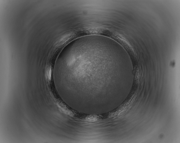 X0000101170076200806271045
