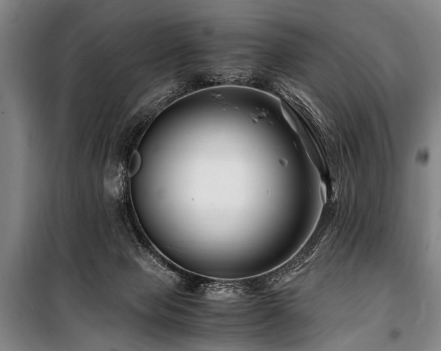 X0000101170077200806271045