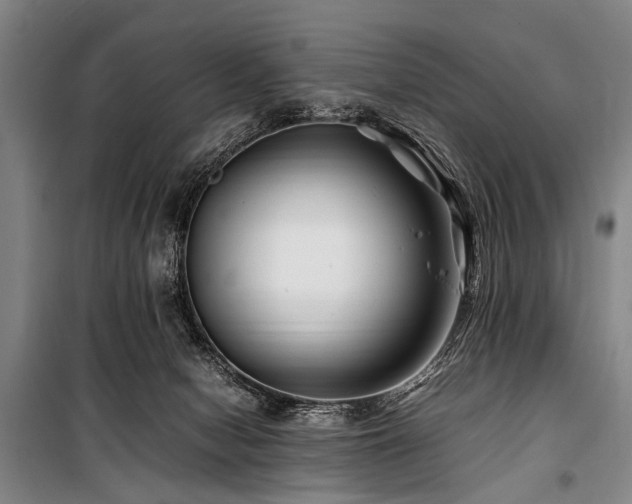 X0000101170078200806271045