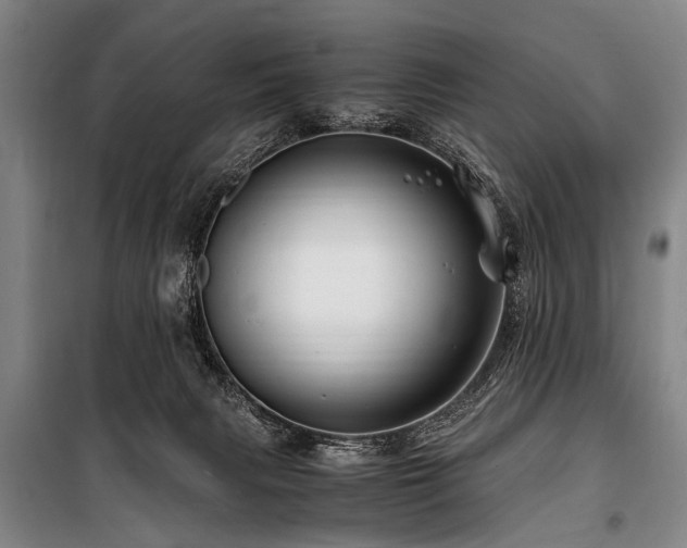 X0000101170079200806271045