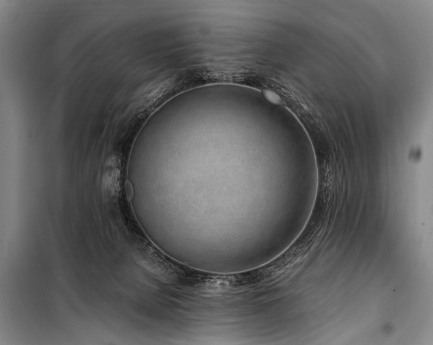 X0000101170080200806271045