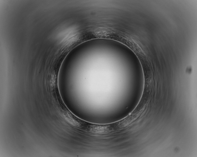 X0000101170081200806271045