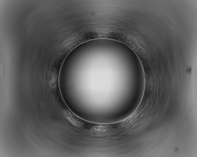 X0000101170082200806271045