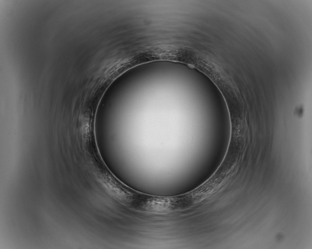 X0000101170084200806271045