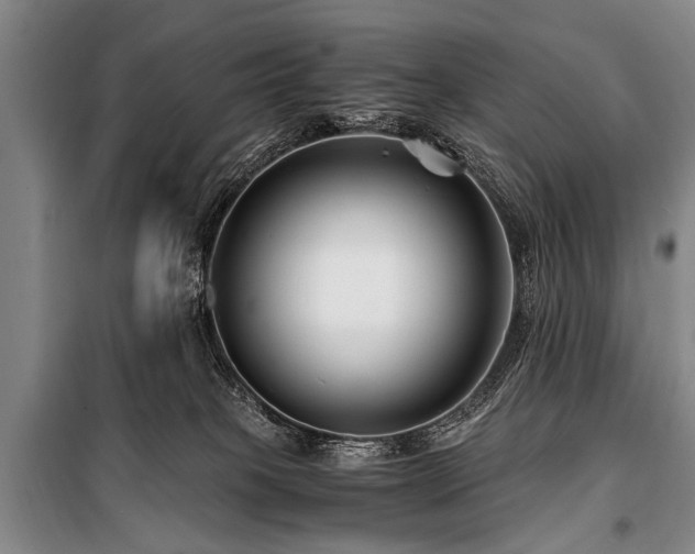 X0000101170085200806271045