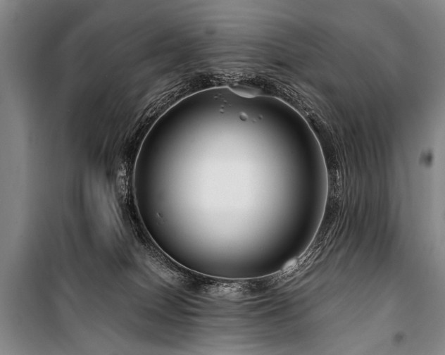 X0000101170086200806271045