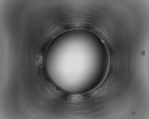X0000101170087200806271045