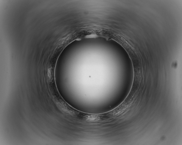 X0000101170088200806271045