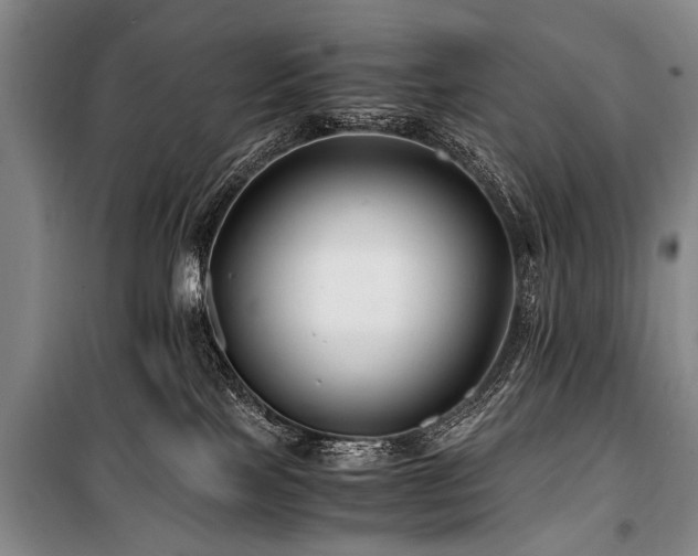 X0000101170089200806271045