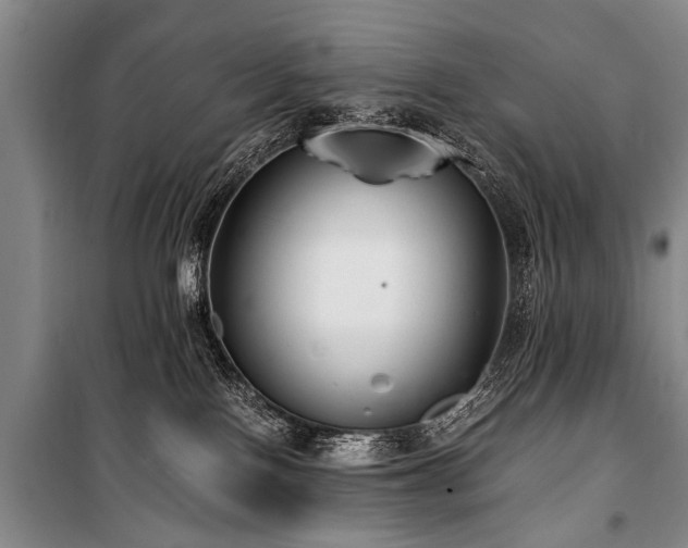 X0000101170090200806271045