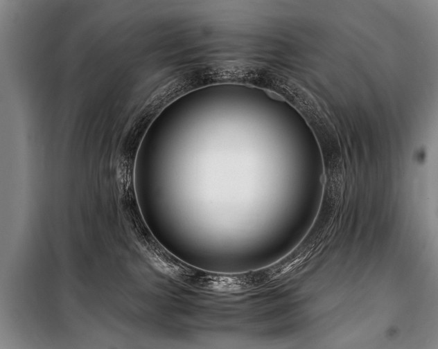 X0000101170091200806271045