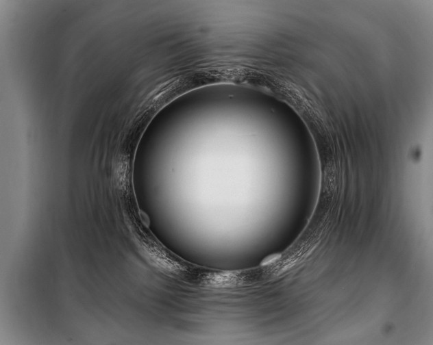 X0000101170092200806271045