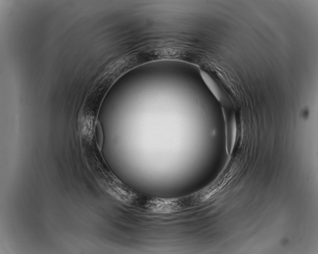 X0000101170093200806271045