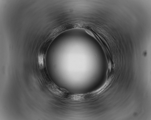 X0000101170094200806271045