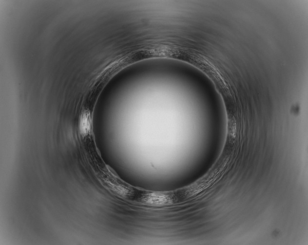 X0000101170095200806271045