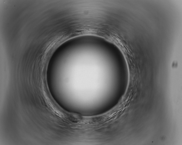 X0000101170097200806271044
