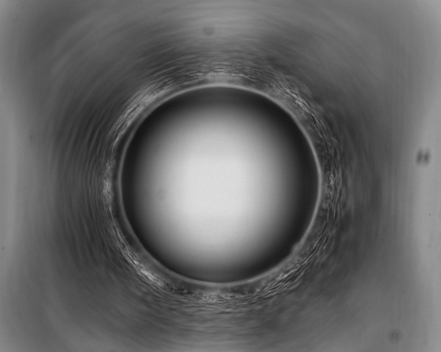 X0000101170098200806271044