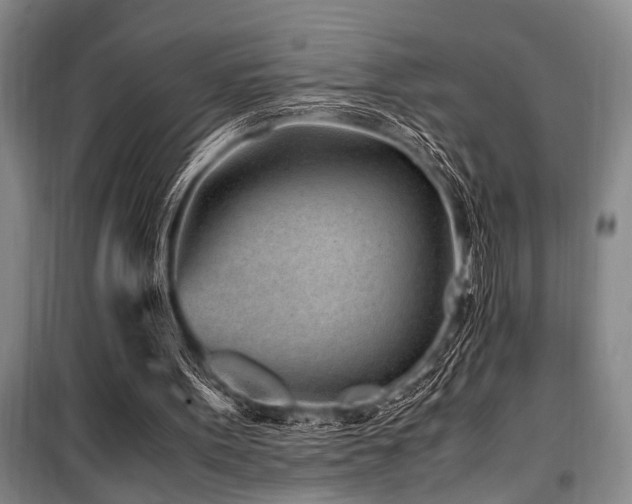 X0000101170099200806271044