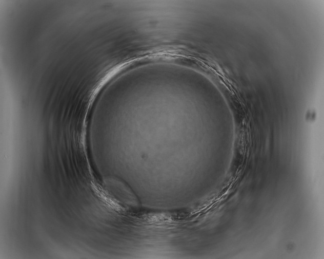 X0000101170100200806271044