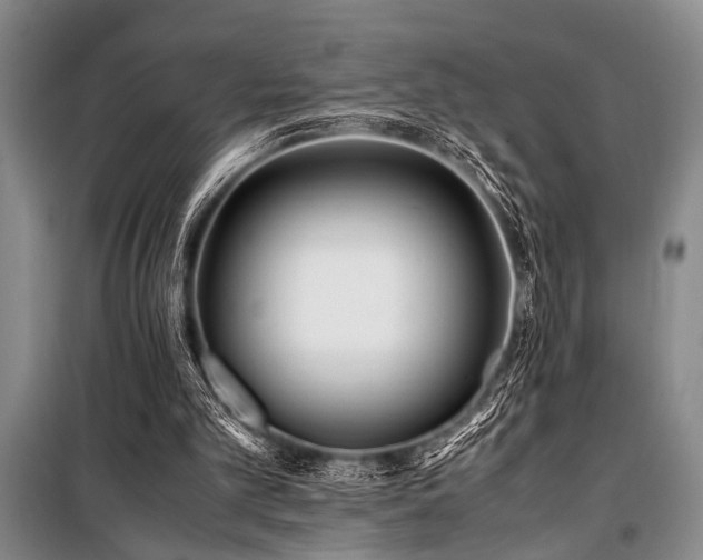 X0000101170101200806271044