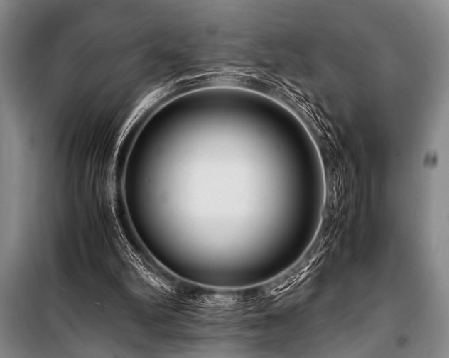 X0000101170102200806271044