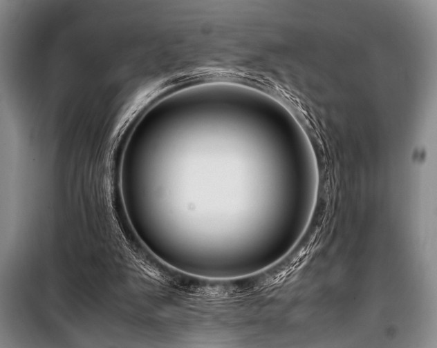 X0000101170103200806271044