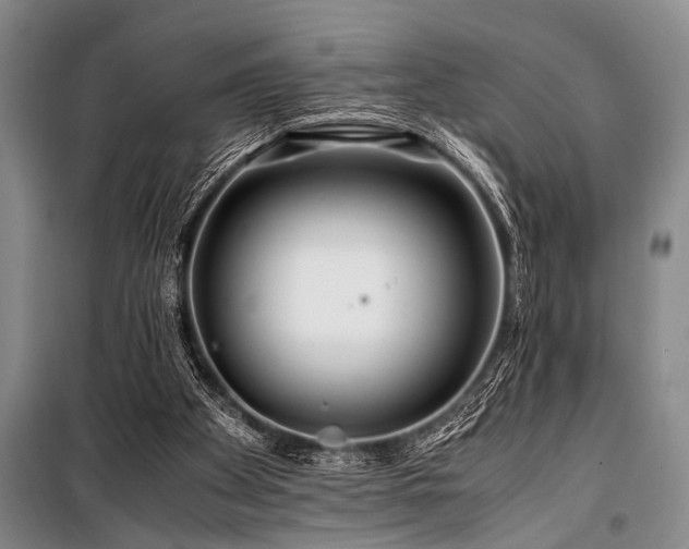 X0000101170105200806271044