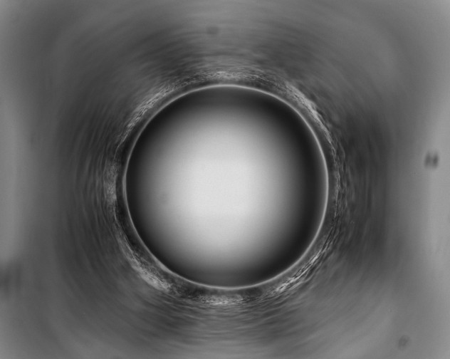 X0000101170106200806271044