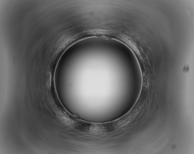 X0000101170109200806271044