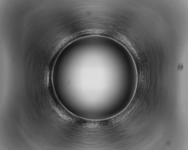 X0000101170110200806271044