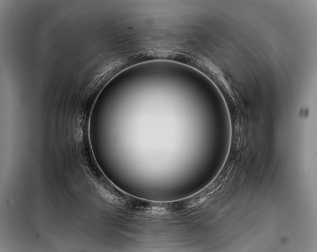 X0000101170114200806271044