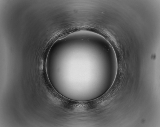X0000101170115200806271044