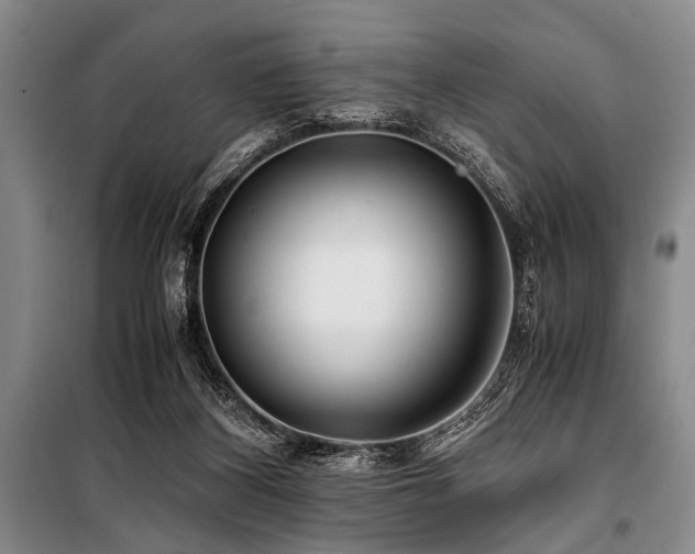 X0000101170116200806271044