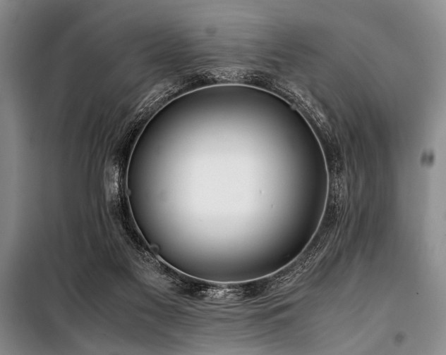 X0000101170117200806271044