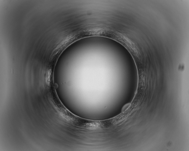 X0000101170118200806271044