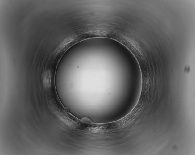 X0000101170120200806271044