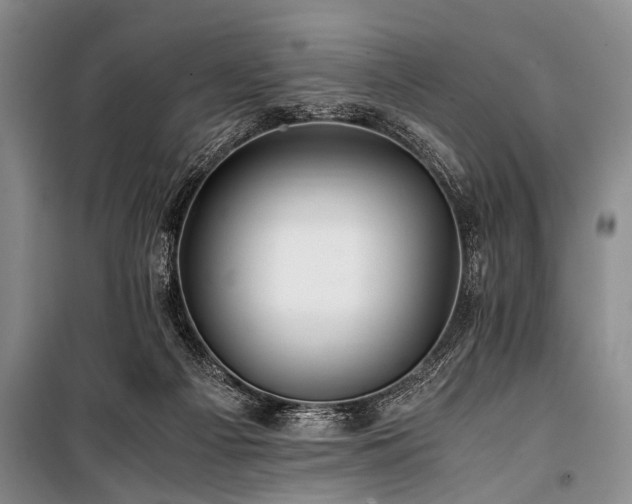 X0000101170121200806271044
