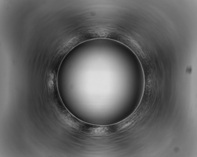 X0000101170122200806271044