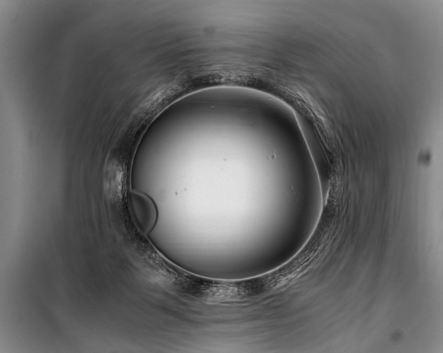 X0000101170123200806271044