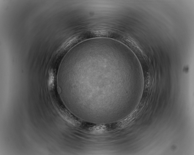 X0000101170124200806271044