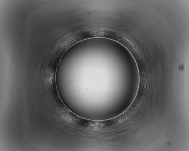 X0000101170125200806271044