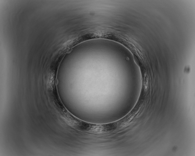 X0000101170127200806271044