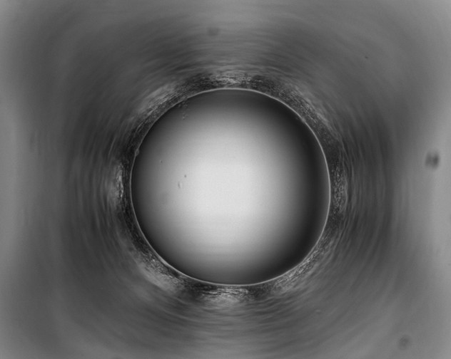 X0000101170128200806271044