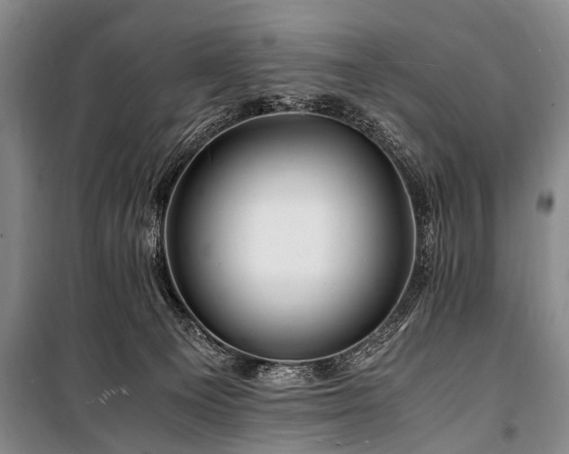 X0000101170129200806271044