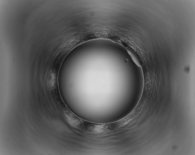 X0000101170130200806271044
