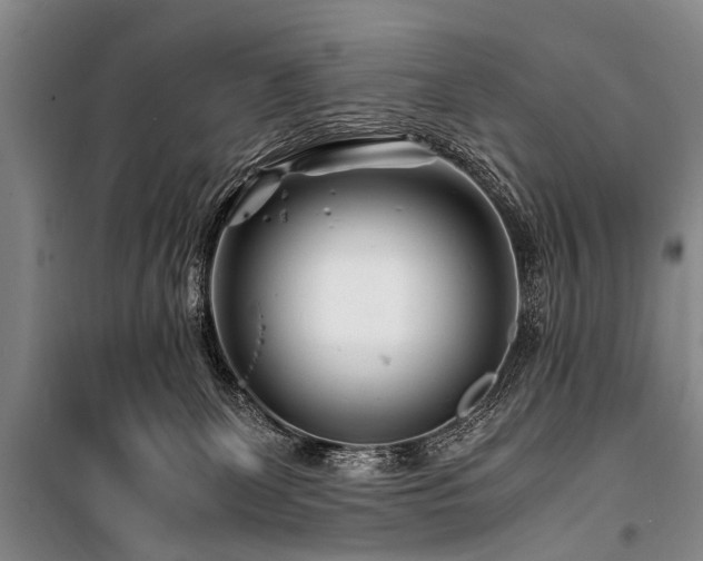 X0000101170131200806271044