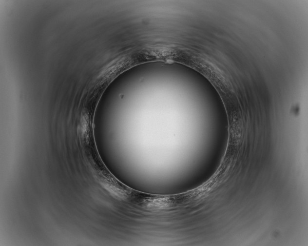 X0000101170132200806271044