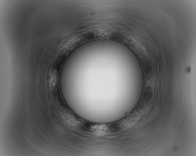 X0000101170133200806271044